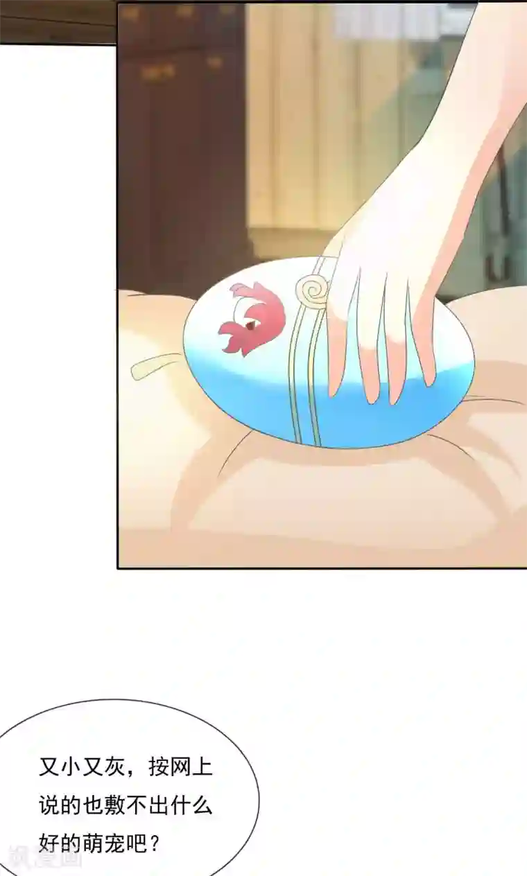 萝莉孵化器第2话 孵化萌宠蛋