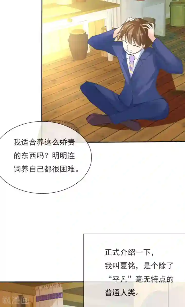 萝莉孵化器第2话 孵化萌宠蛋
