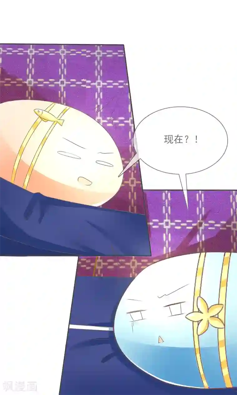 萝莉孵化器第4话 三个萌宠一台戏