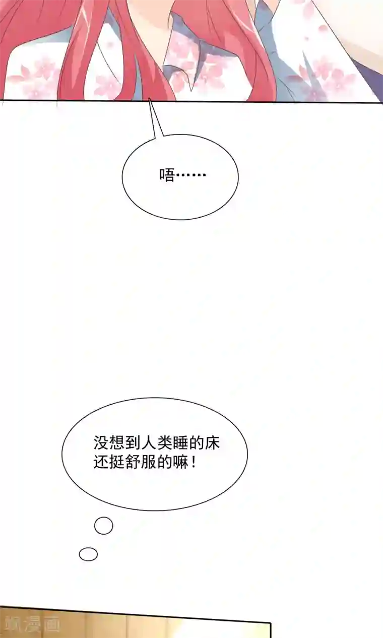 萝莉孵化器第5话 饲养萌宠第一步