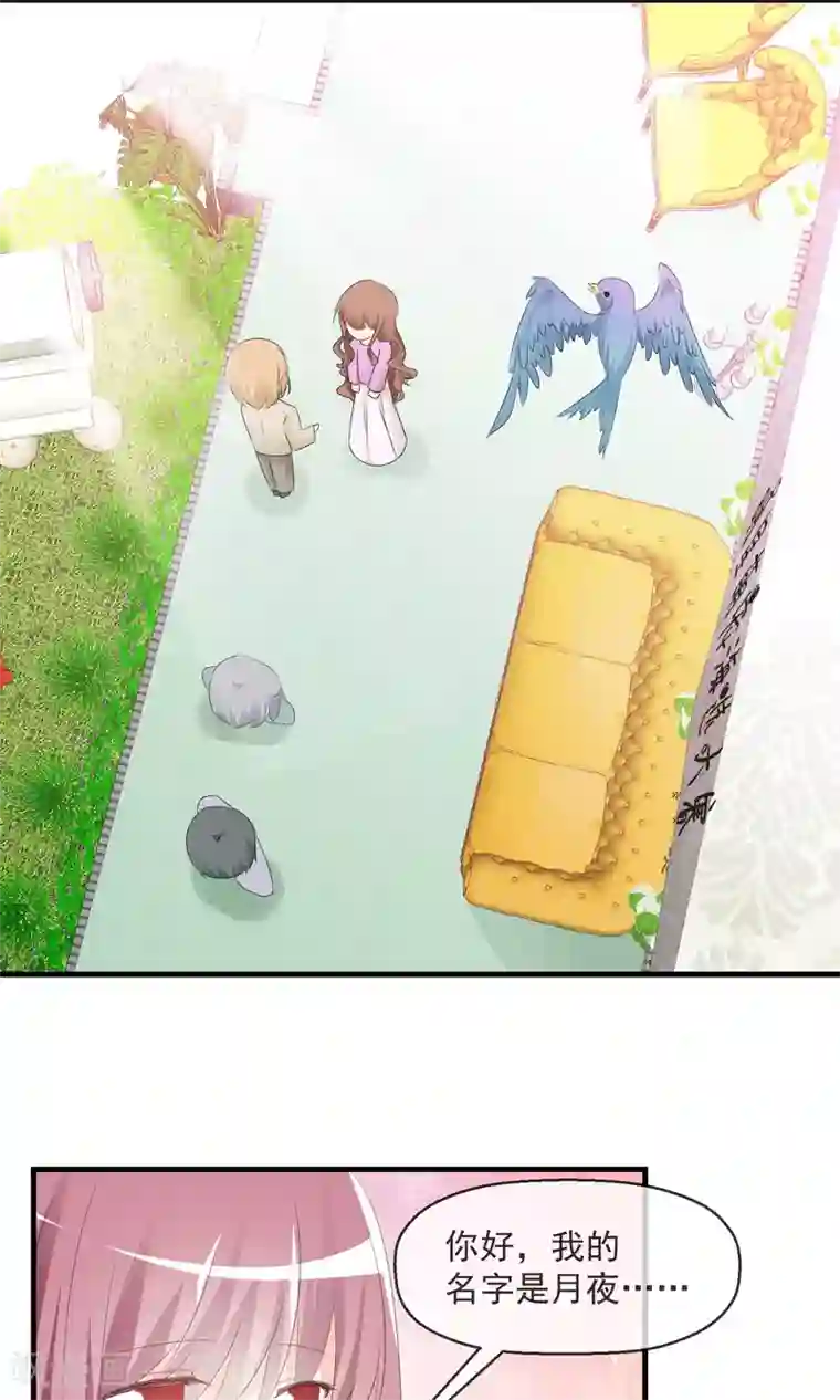 萝莉孵化器第14话 萌宠比赛初试