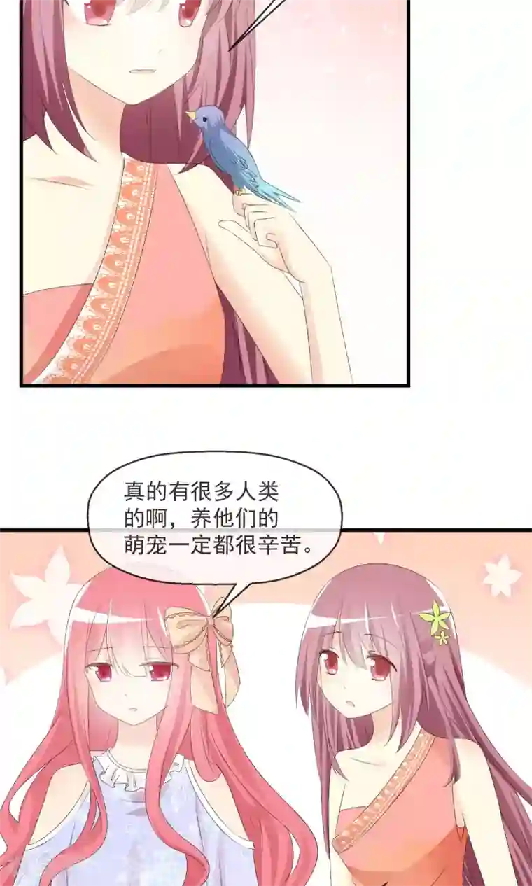 萝莉孵化器第14话 萌宠比赛初试