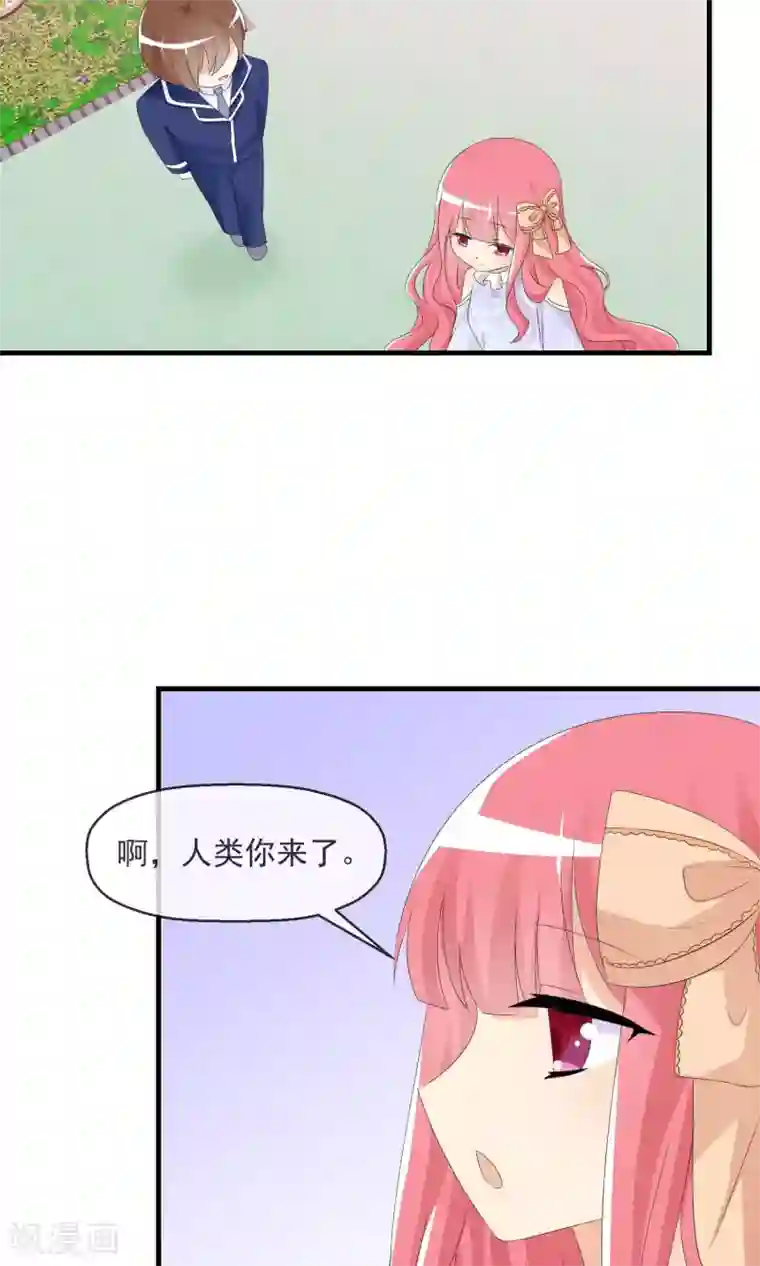 萝莉孵化器第14话 萌宠比赛初试