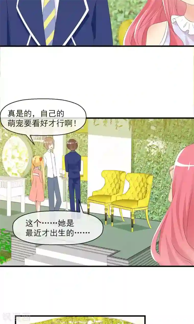 萝莉孵化器第14话 萌宠比赛初试