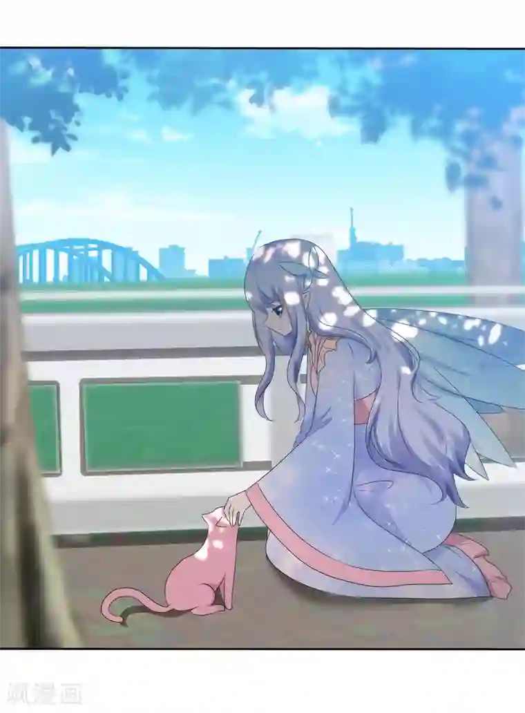 萝莉孵化器第66话 萌宠少女与猫