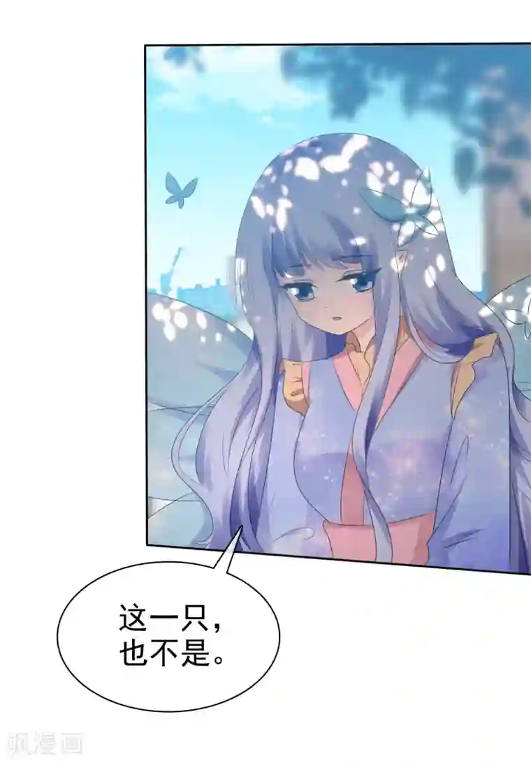 萝莉孵化器第66话 萌宠少女与猫