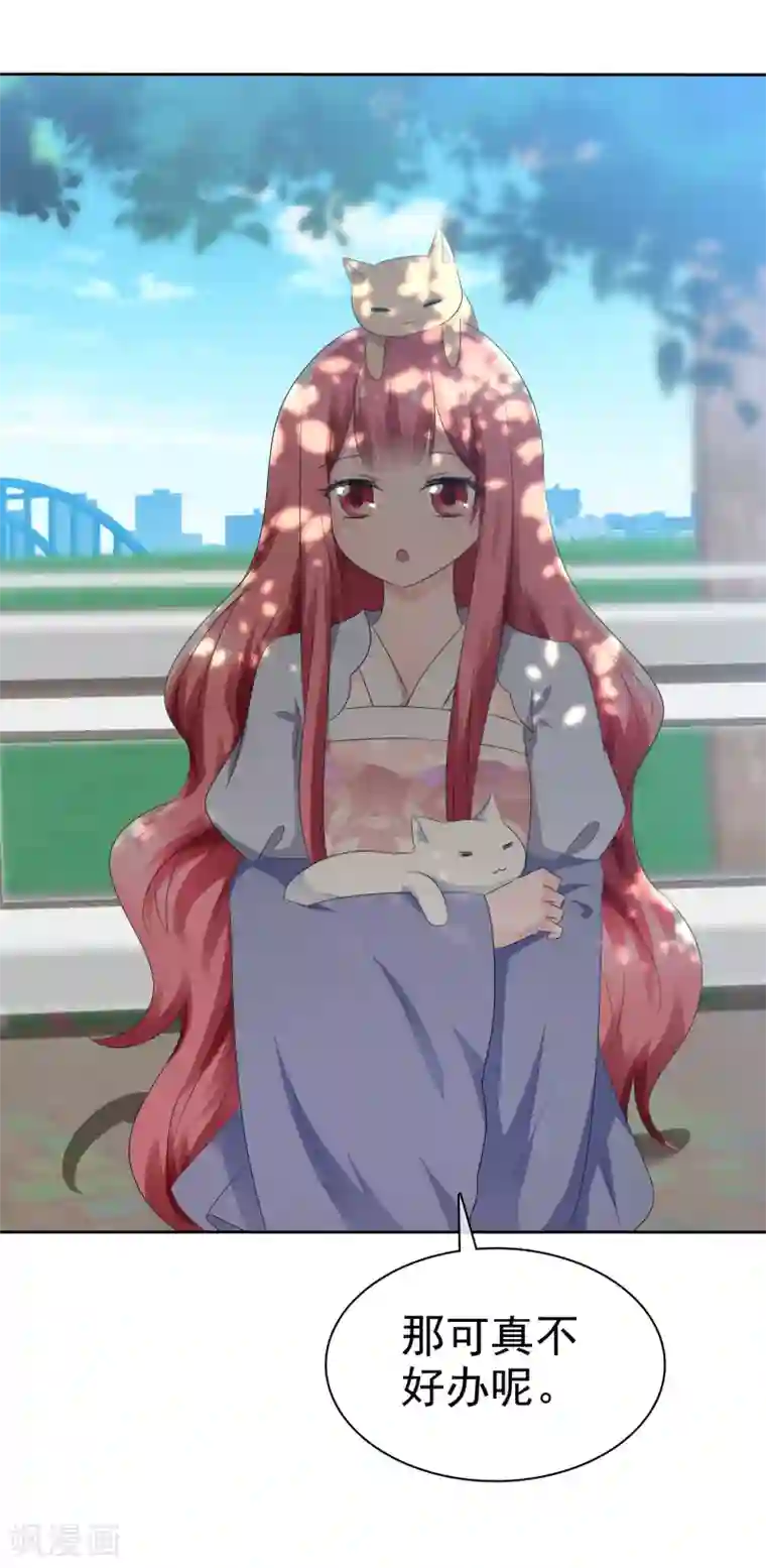 萝莉孵化器第66话 萌宠少女与猫