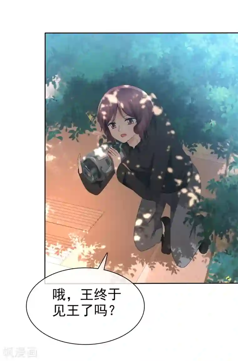 萝莉孵化器第67话 晨曦VS繁星