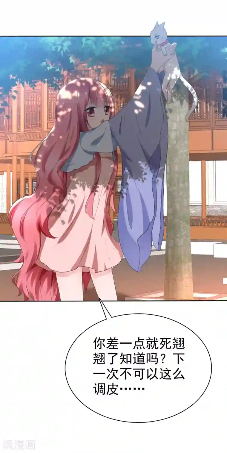 萝莉孵化器第67话 晨曦VS繁星