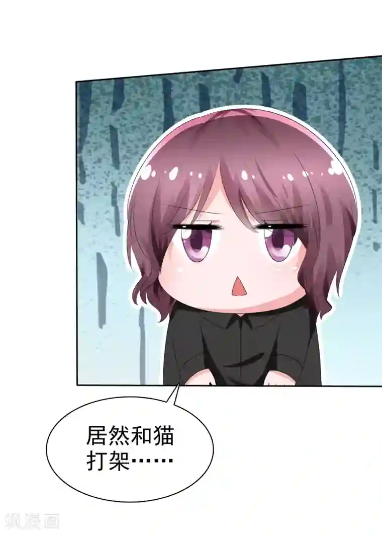 萝莉孵化器第67话 晨曦VS繁星