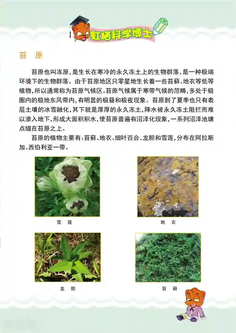 虹猫蓝兔漫画科学探险之阿拉斯加历险记第4话 深入沼泽