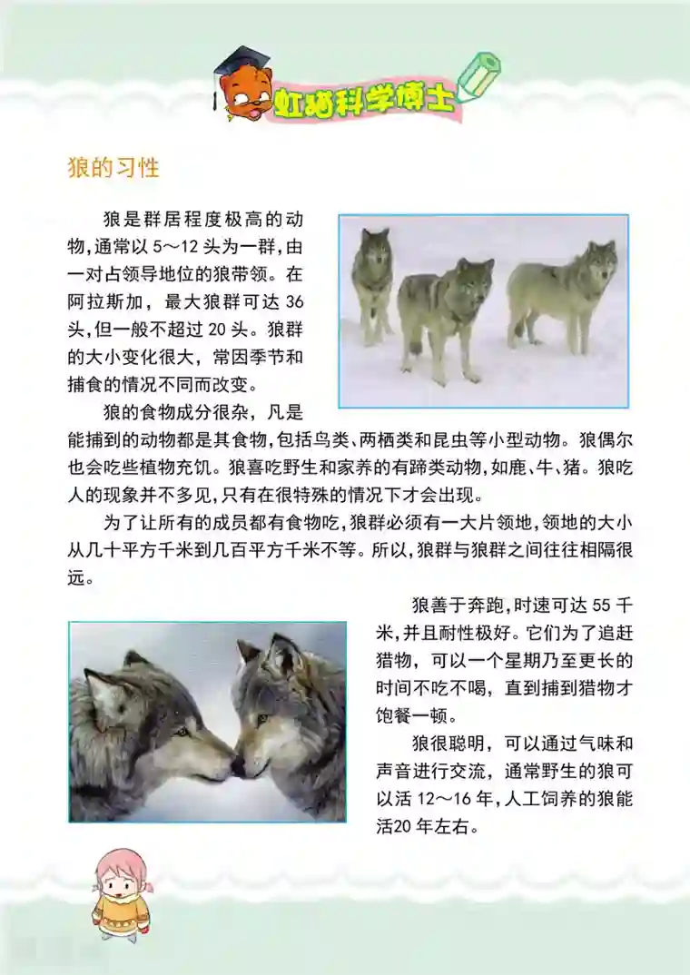 虹猫蓝兔漫画科学探险之阿拉斯加历险记第7话 野狼来袭