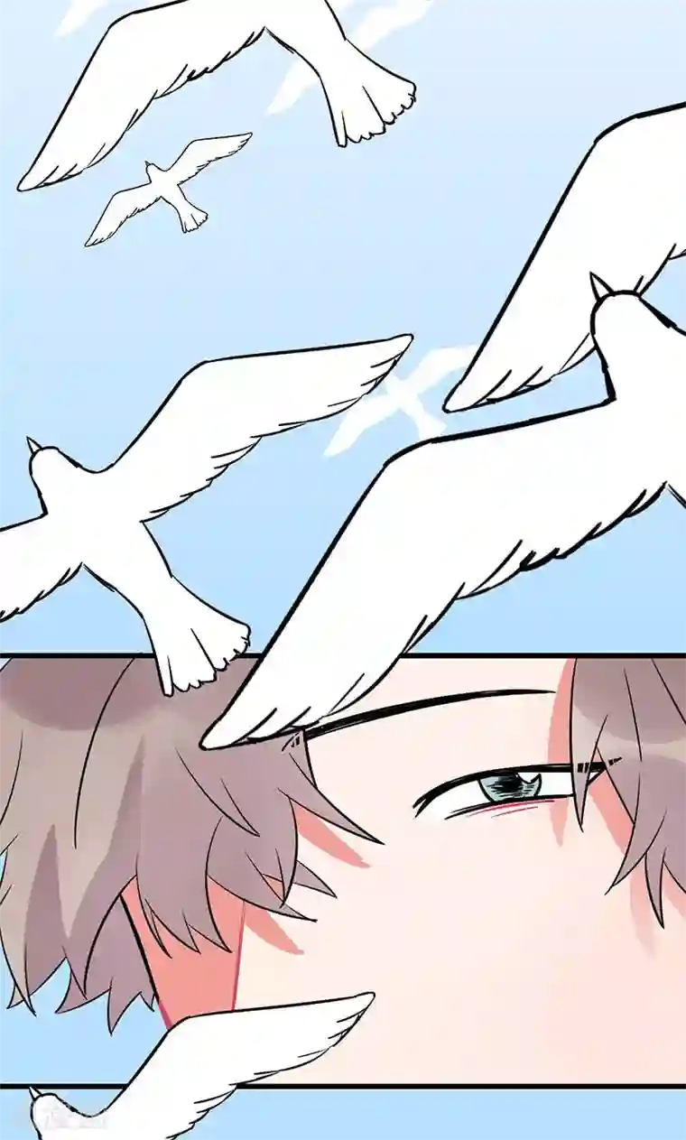 偶像万万岁第6话