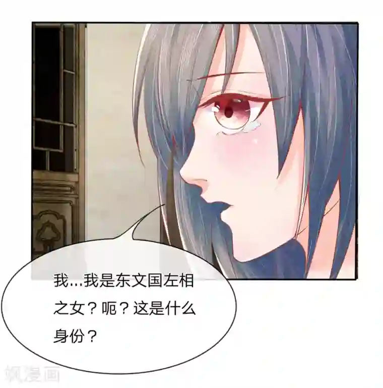 医妃权倾天下第1话 重活一世