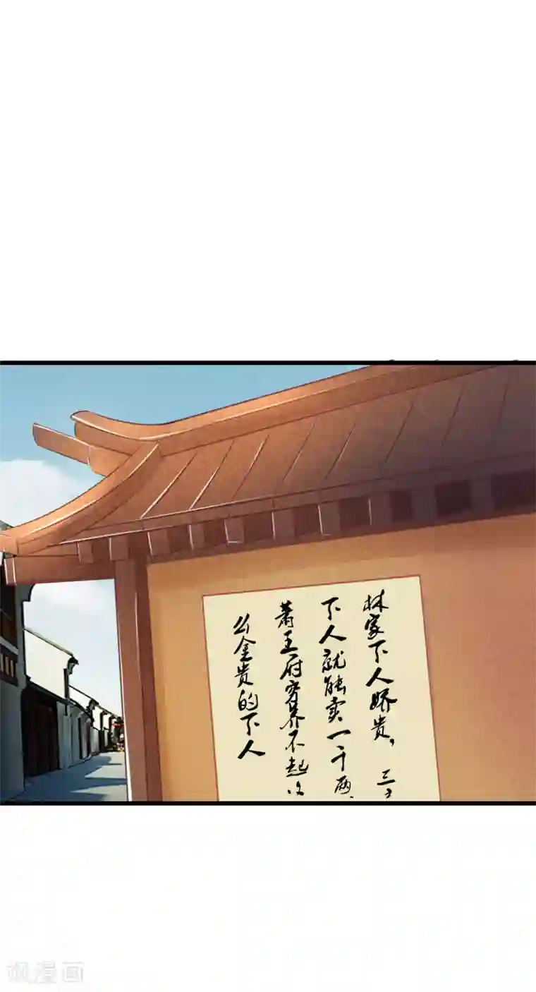 医妃权倾天下第40话 与林家的擂台战