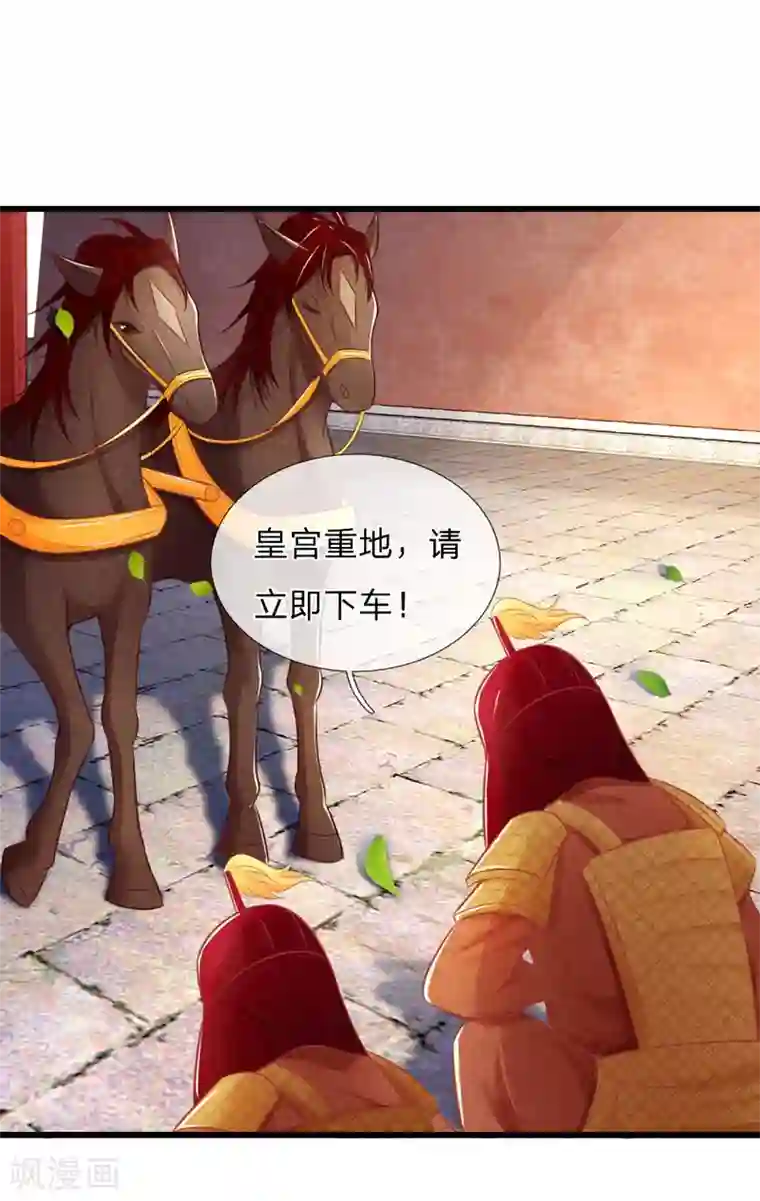 医妃权倾天下第41话 硬着头皮上“战场”