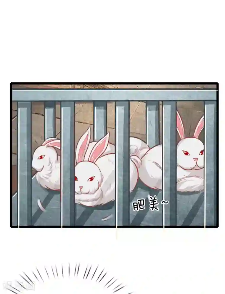 医妃权倾天下第104话 手术是什么？