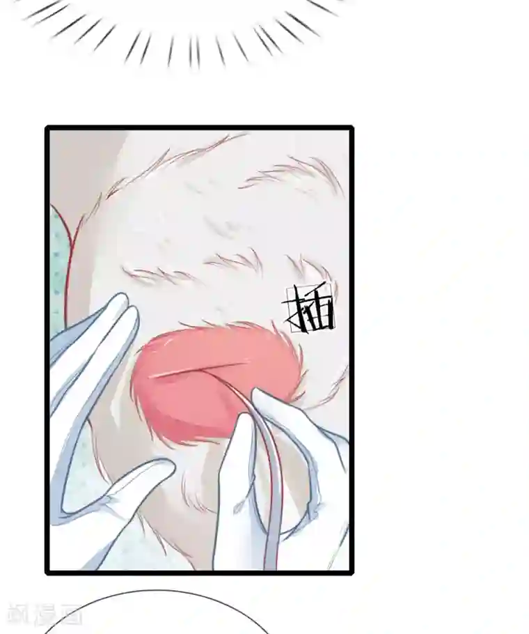 医妃权倾天下第105话 手术演示