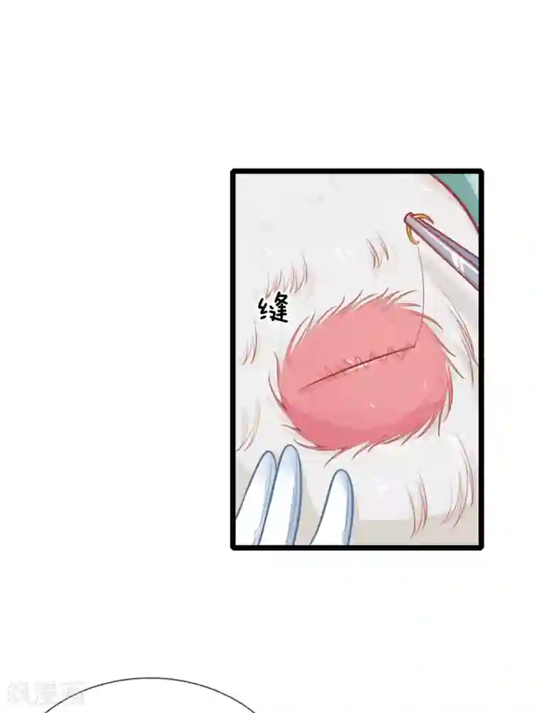 医妃权倾天下第105话 手术演示