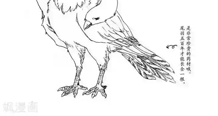 山海师第1话 浮生卷壹 山海见参