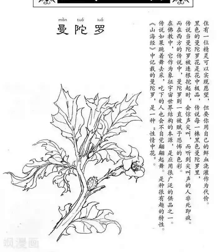 山海师第2话 浮生卷贰 曼陀罗