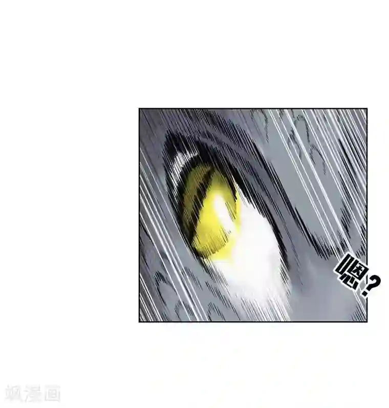 地上的雨果第1话