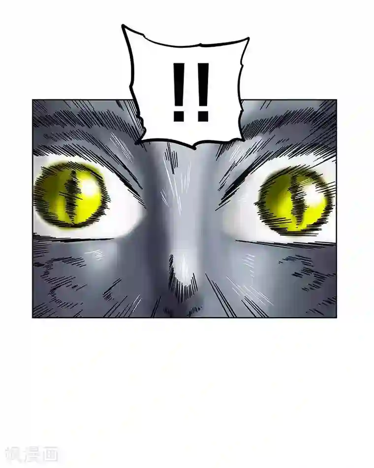 地上的雨果第5话