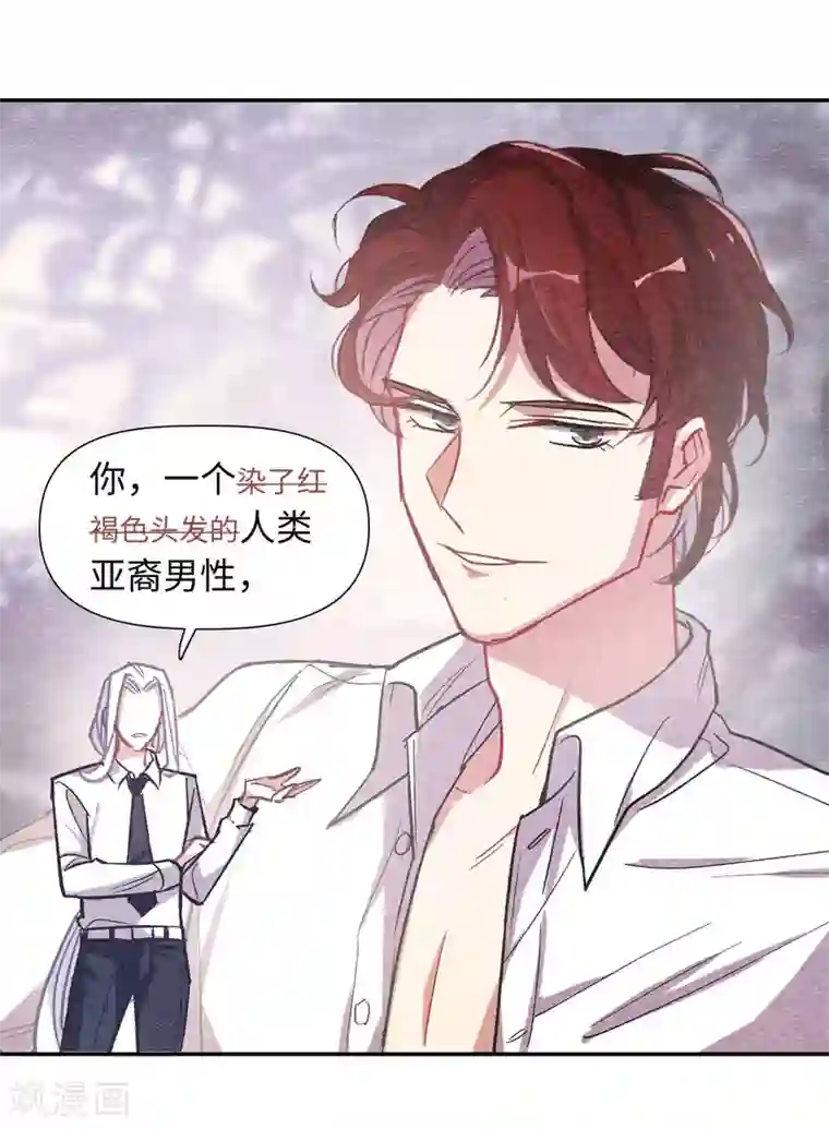 地狱告白诗宫风曜生日特别番外2