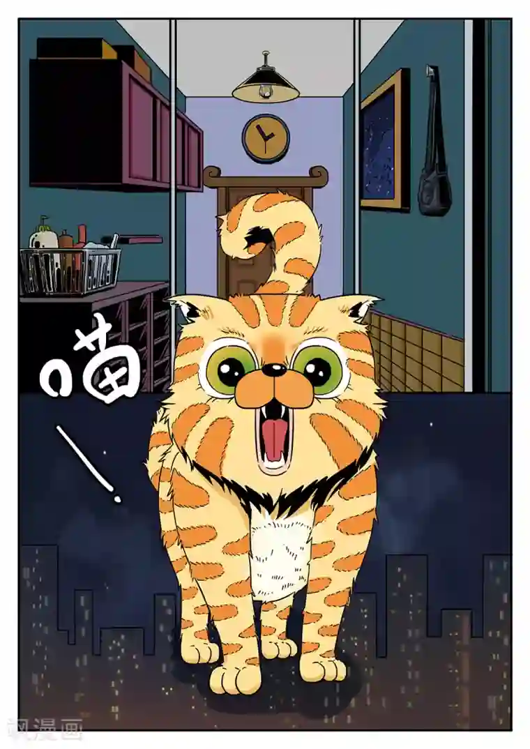 麦克熊猫第36话 完美的新衣1