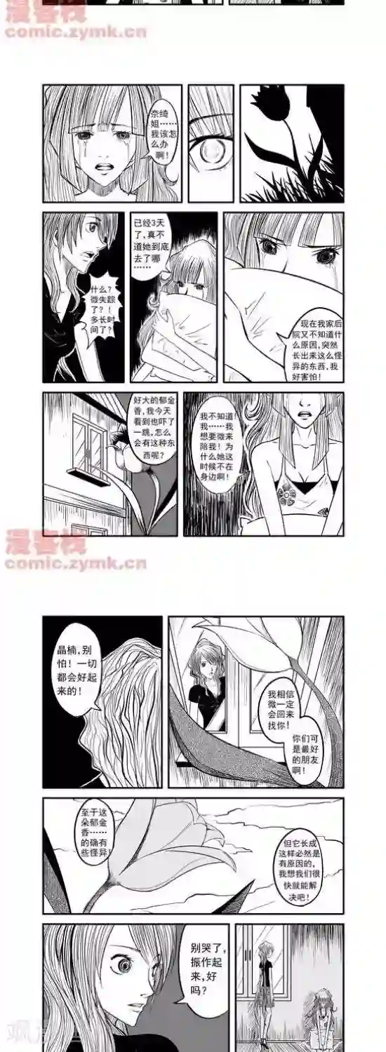 夜幕西饼屋第12话 第一季12