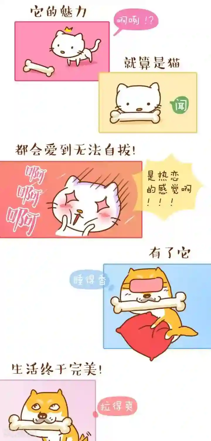 卜鲁兔第7话 狗蛋的生日