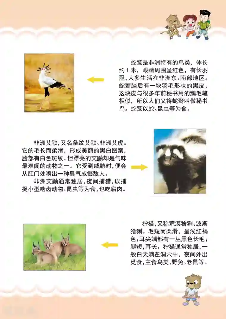 虹猫蓝兔漫画科学探险之南非草原历险记第13话 再见 鲁卡