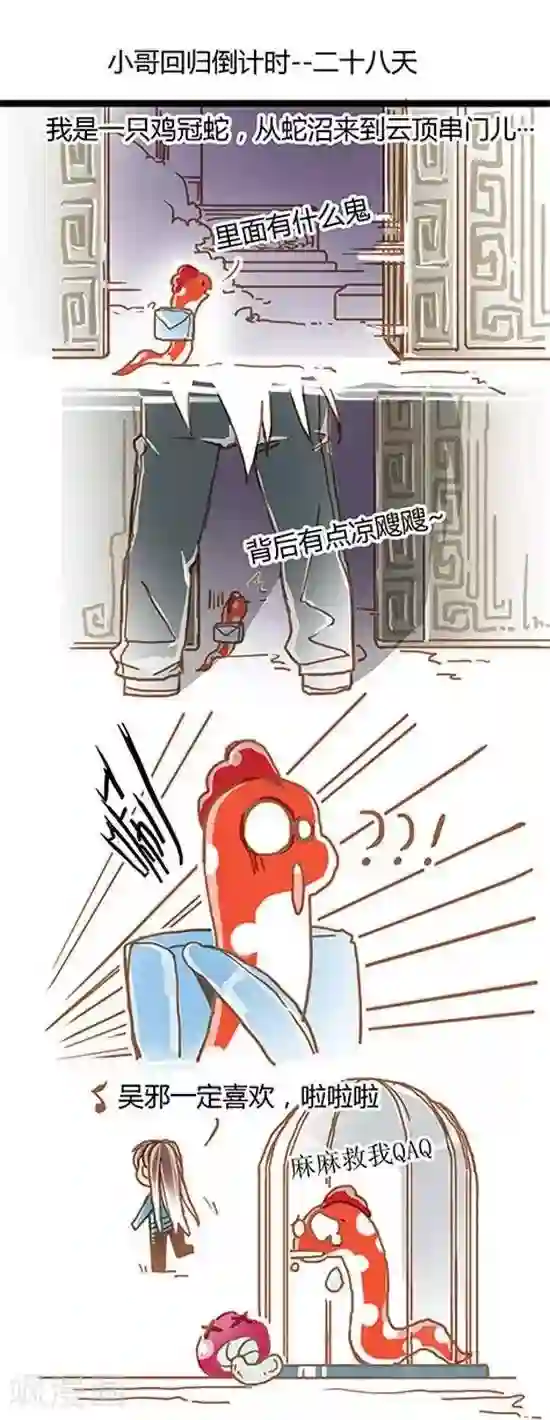 张小邪家的日常第11话 小哥回归倒计时---28天