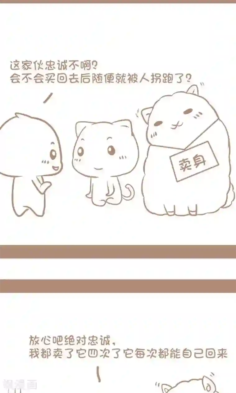 感觉自己蠢蠢哒第71话 忠诚