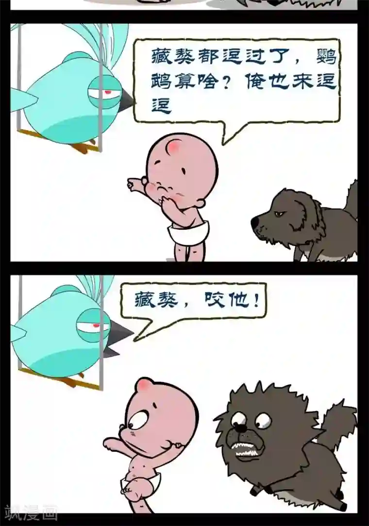 小破孩傻笑第327话 鹦鹉和藏獒