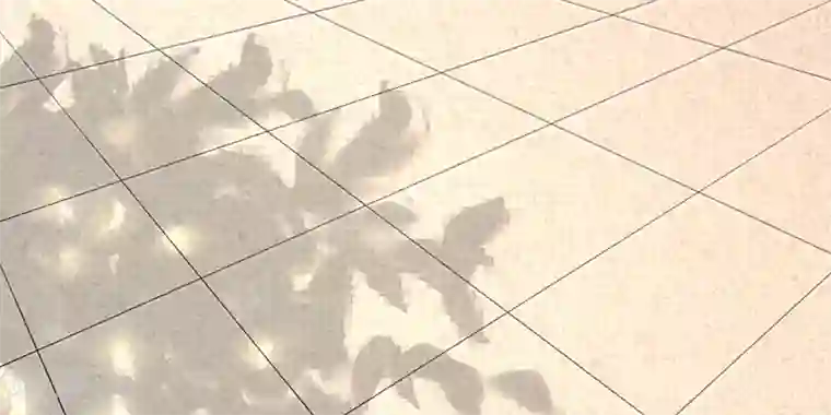 书中密友第14话