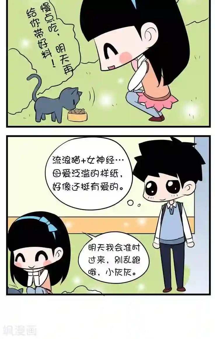 囡囡和细满第13话 流浪猫