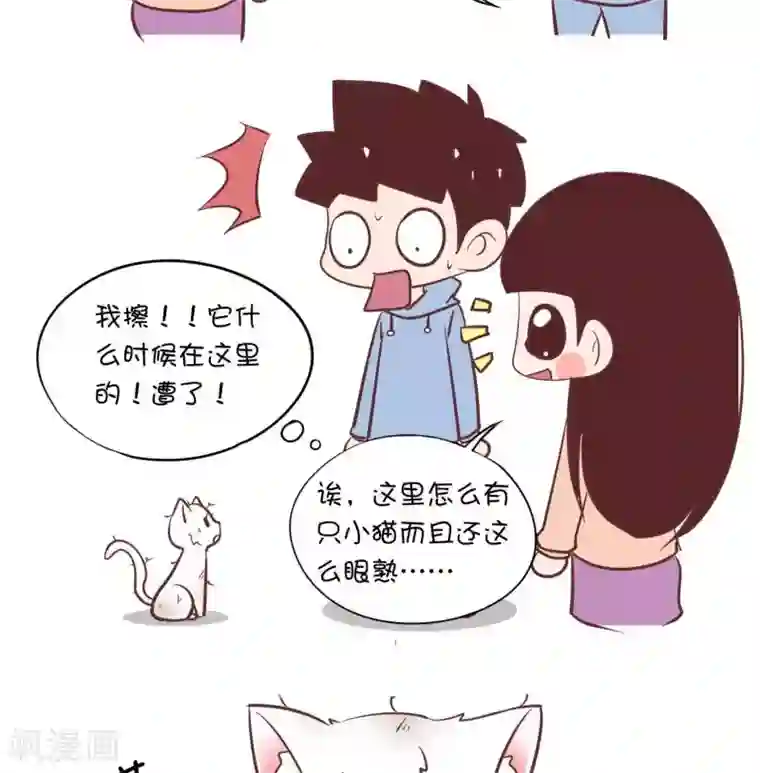 囡囡和细满第55话 寄养小猫2