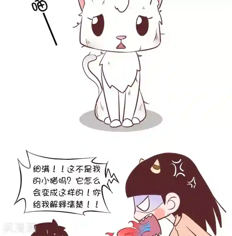囡囡和细满第55话 寄养小猫2