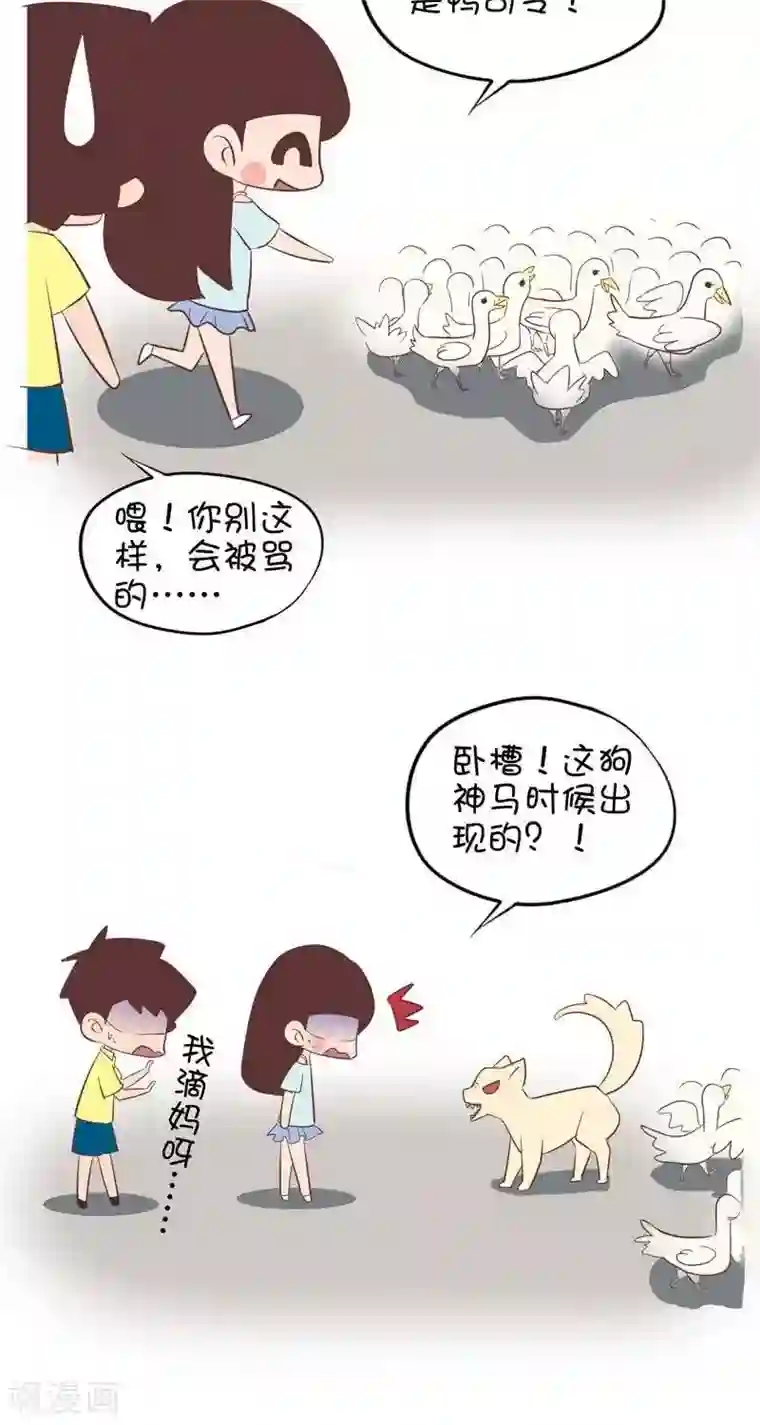 失禁漏尿女教师中文字幕第92话 赶鸭子