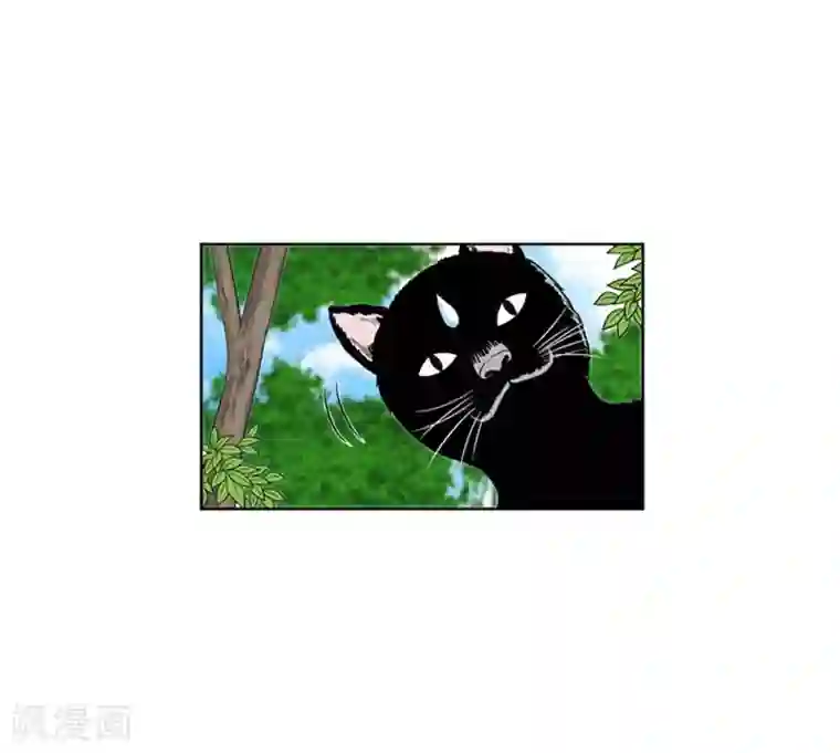 神之网式足球第4话