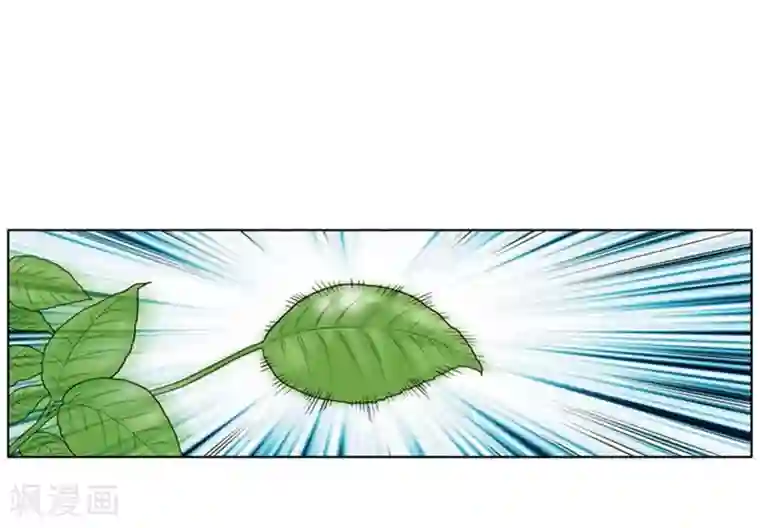 神之网式足球第11话