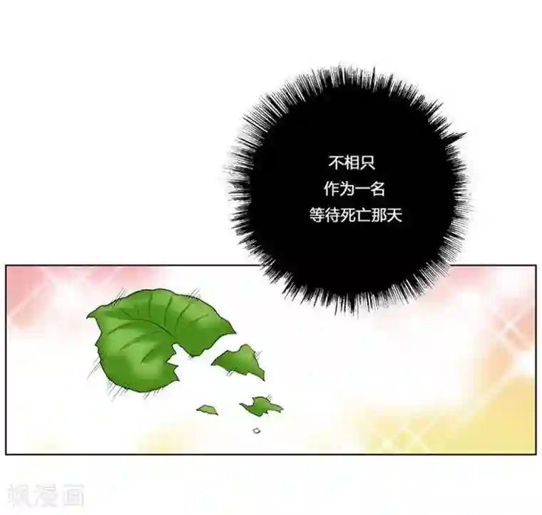 神之网式足球第11话