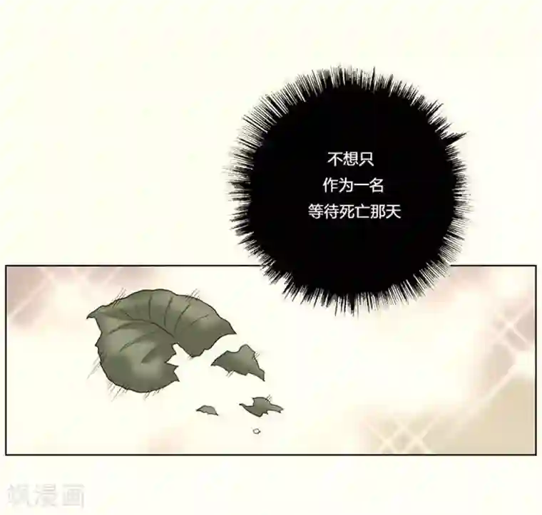 神之网式足球第12话