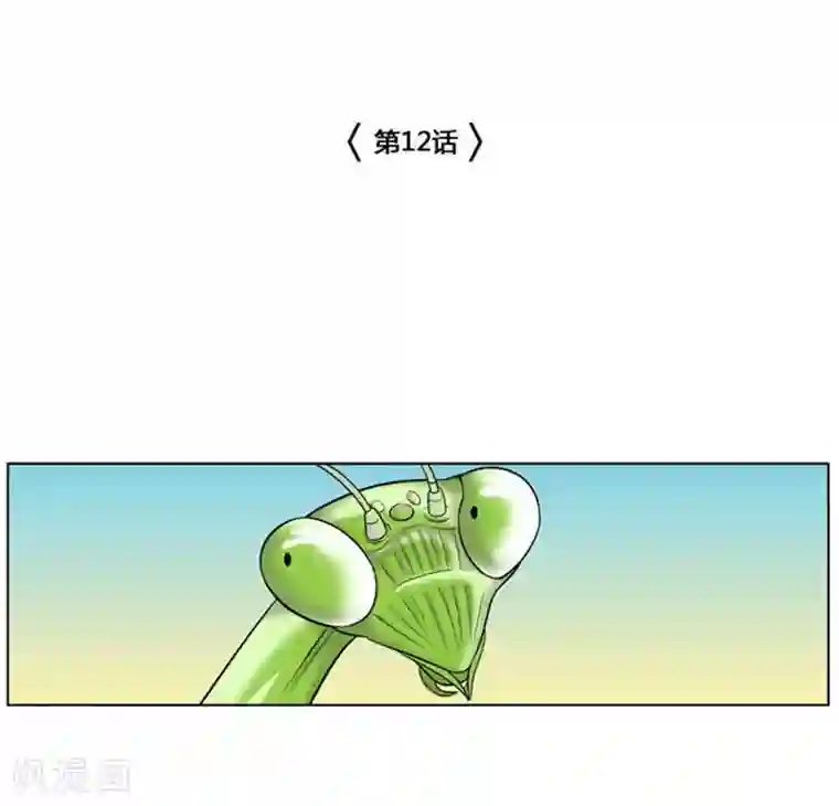 神之网式足球第12话