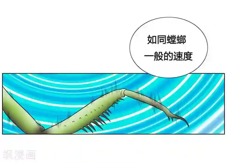 神之网式足球第12话