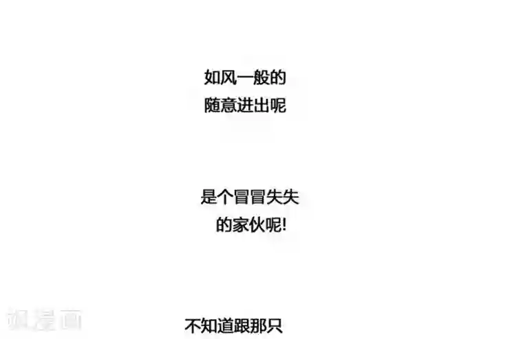 神之网式足球第37话