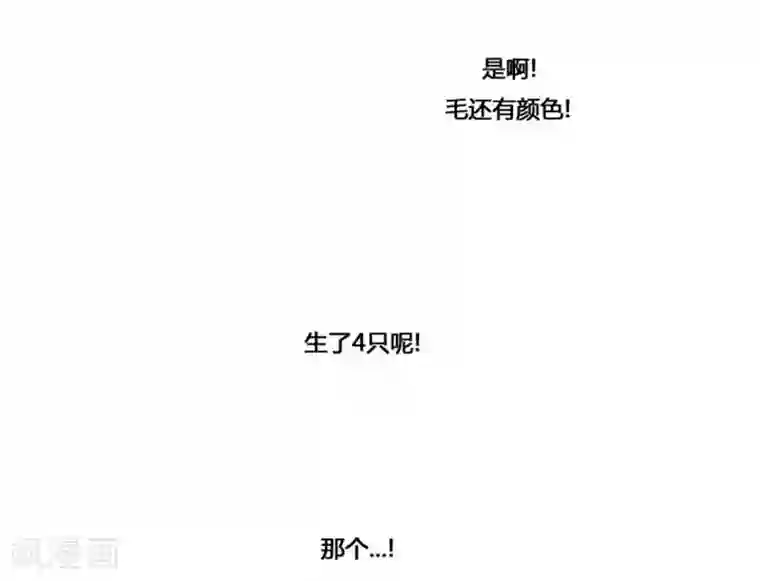 神之网式足球第37话