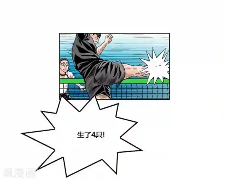 神之网式足球第37话