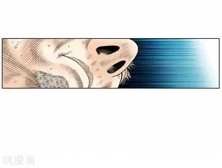 神之网式足球第38话